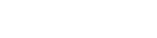 logo SatellaSoft